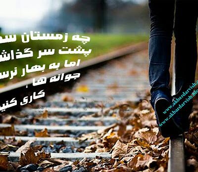 جوانه ها کاری کنید