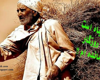شعر سیاه