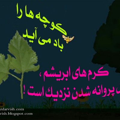 فصل پروانه شدن نزدیک است