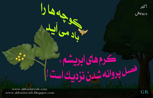 فصل پروانه شدن نزدیک است