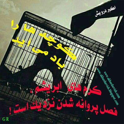 فصل پروانه شدن نزدیک است