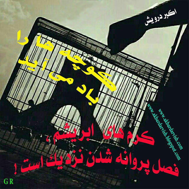 فصل پروانه شدن نزدیک است