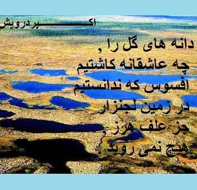 در زمین لجنزار
