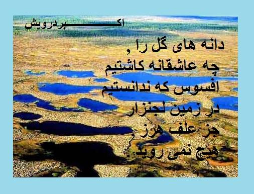 در زمین لجنزار