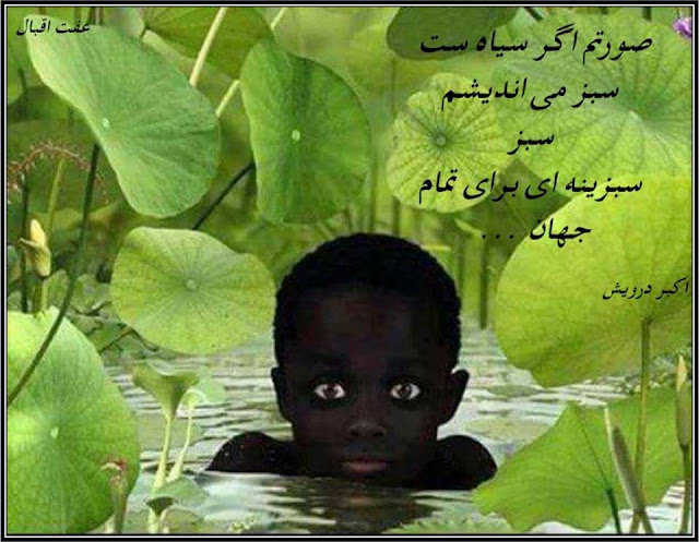سبزینه ای برای تمام جهان