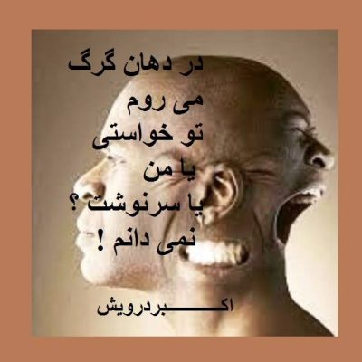 در دهان گرگ می روم