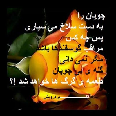 مگر نمی دانی ؟