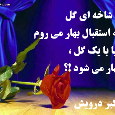 آیا با یک گل بهار می شود ؟