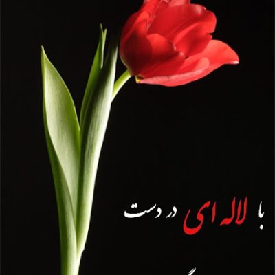 به دنبال بهار