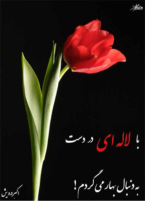 به دنبال بهار