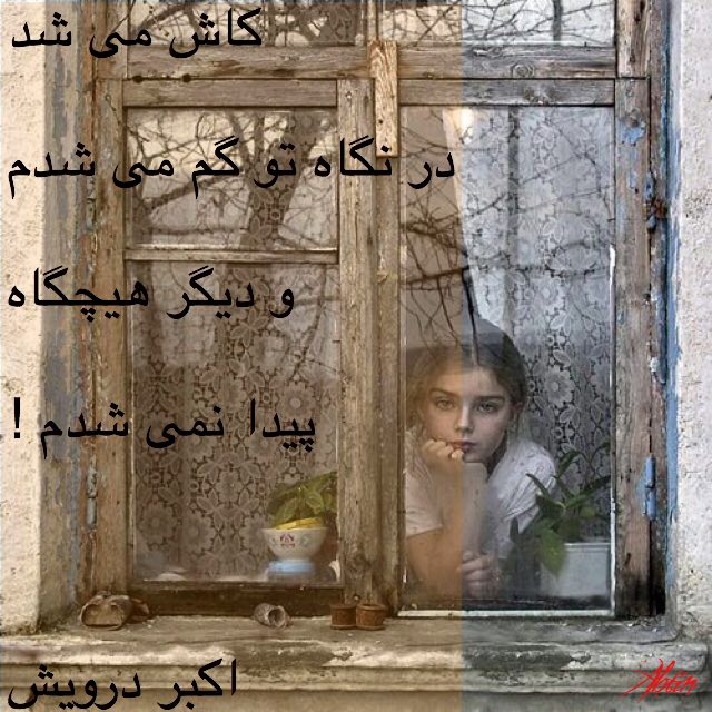 کاش می شد