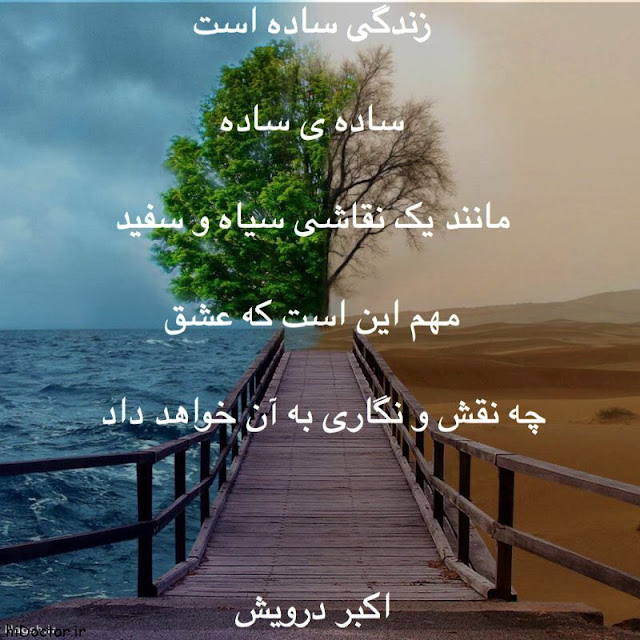 زندگی ساده است