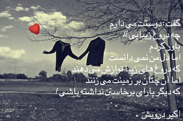 دروغ زیبا