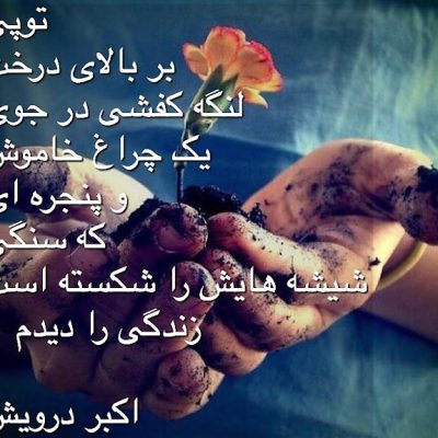 زندگی را دیدم