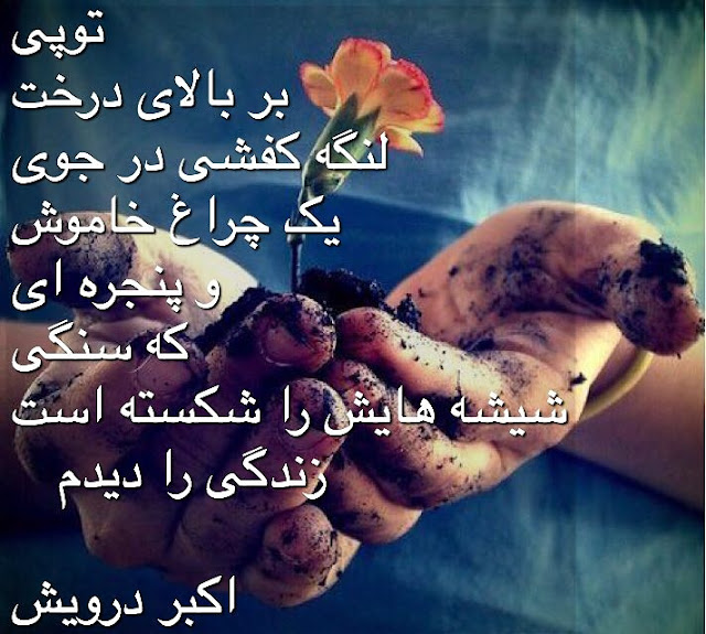 زندگی را دیدم