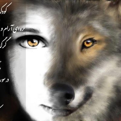 گرگ ها را که دید