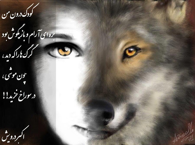 گرگ ها را که دید