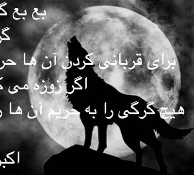 گوسفندان اگر زوزه می کشیدند
