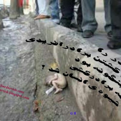 برادرکشی