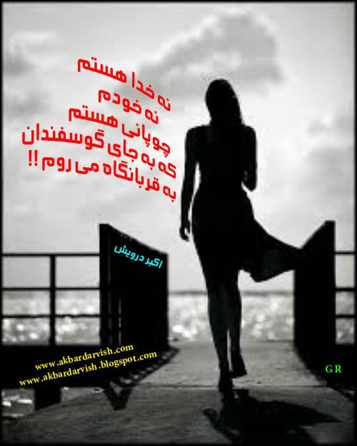 به قربانگاه می روم