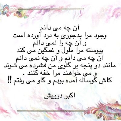 کاش گوساله آمده بودم و گاو می رفتم !