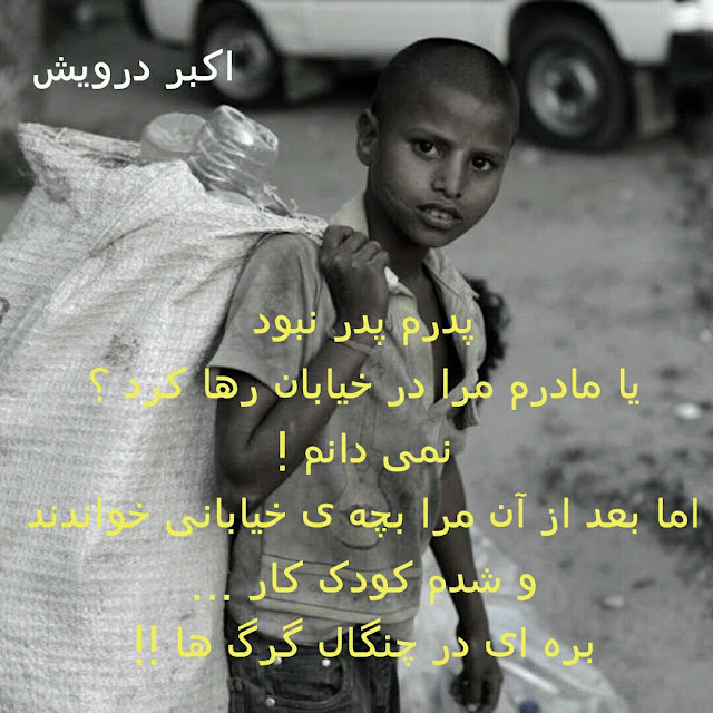 بره ای در چنگال گرگ ها