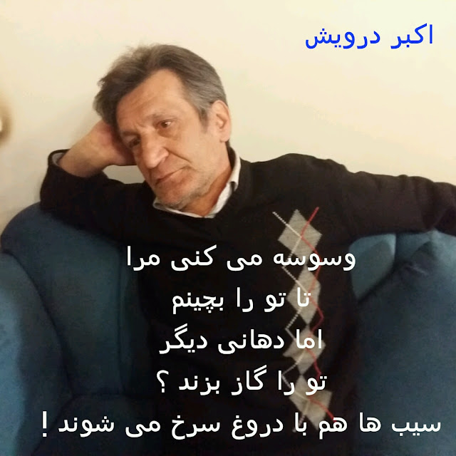 سیب ها هم با دروغ سرخ می شوند