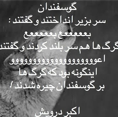 اینگونه بود که گرگ ها