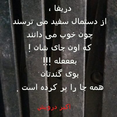 بوی گندتان همه جا را پر کرده است