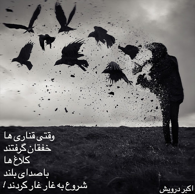 وقتی قناری ها خفقان گرفتند