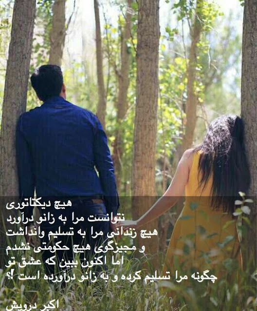 تسلیم عشق تو