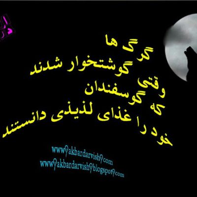 گرگ ها که گوشتخوار شدند