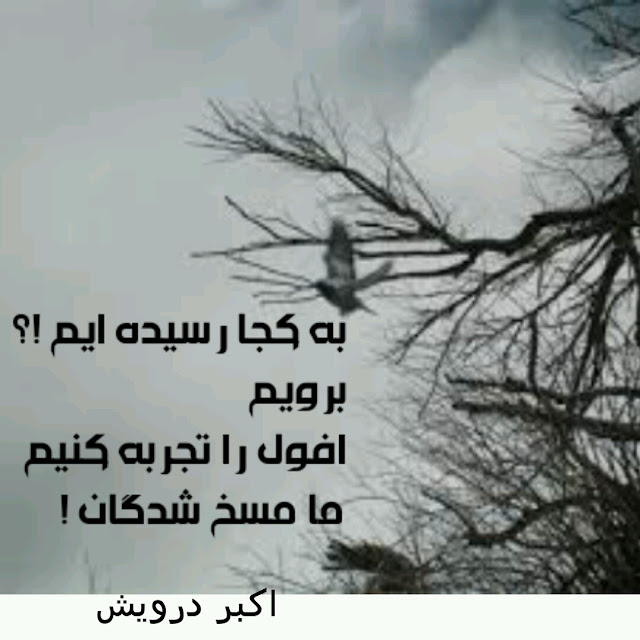 به کجا رسیده ایم