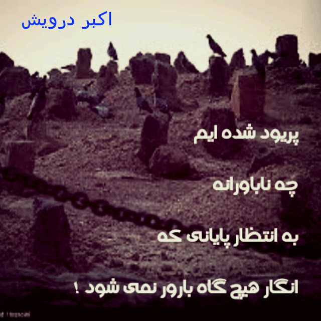 پریود شده ایم