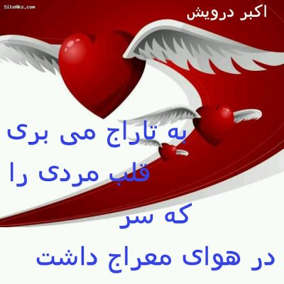 به تاراج می بری