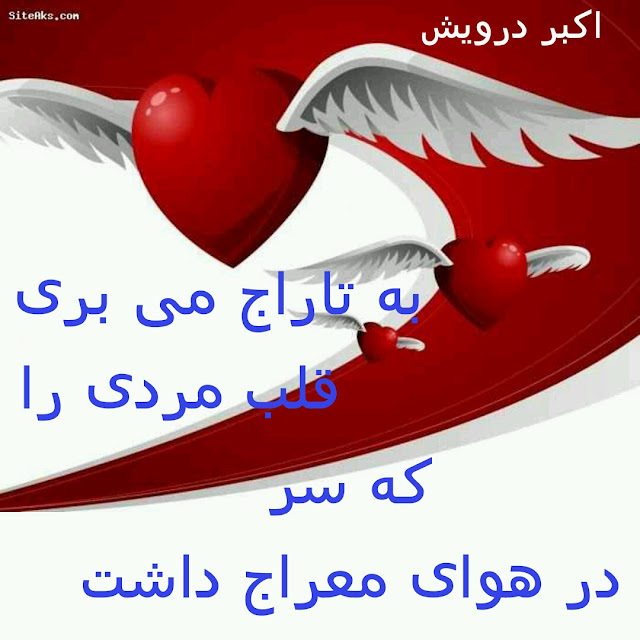 به تاراج می بری