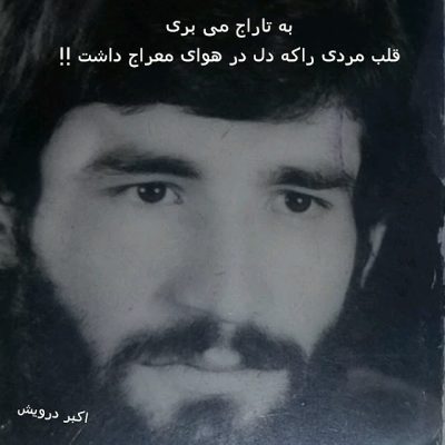 به تاراج می بری