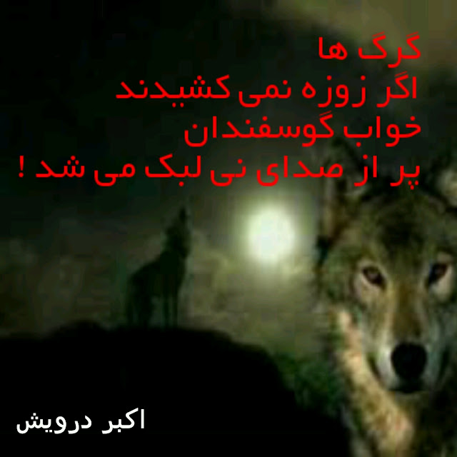 گرگ ها اگر زوزه نمی کشیدند