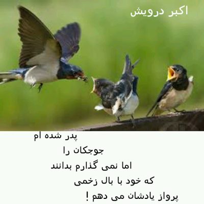 درد نامه