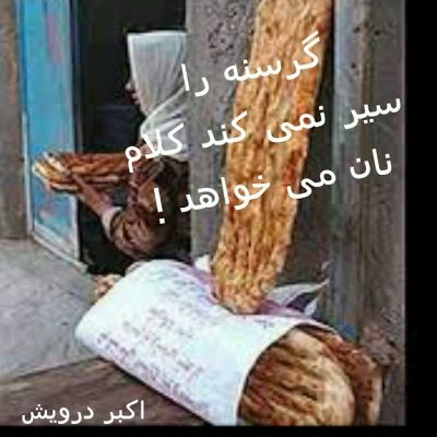 گرسنه و نان