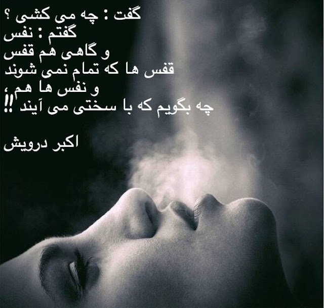 نفس و قفس