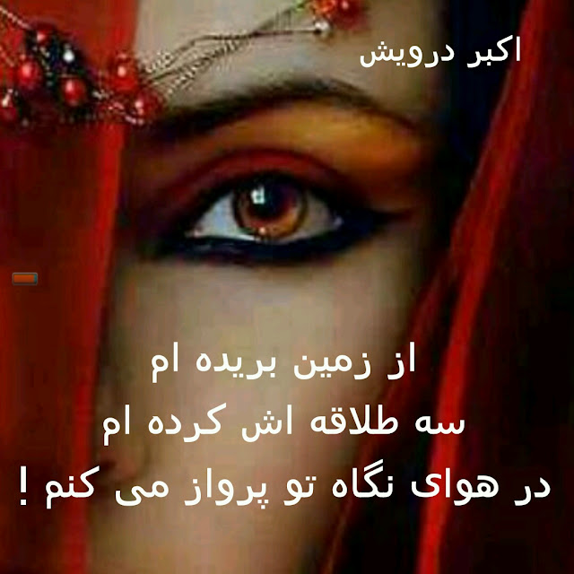در هوای نگاه تو پرواز می کنم