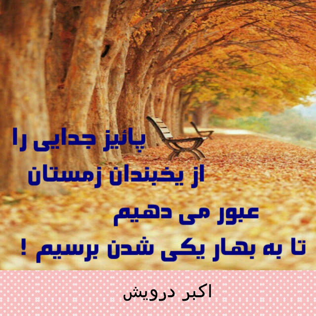 تا به بهار یکی شدن برسیم