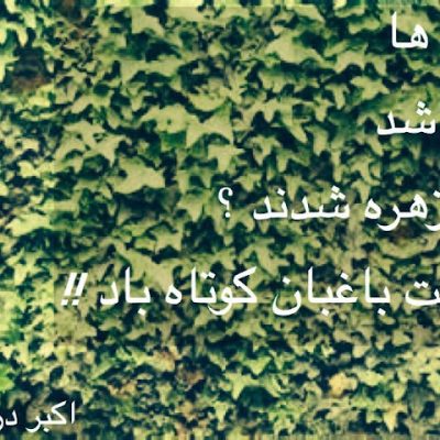 چه شد ؟