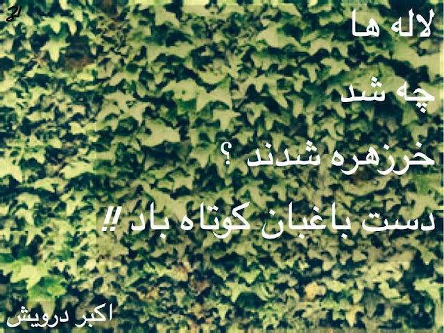 چه شد ؟