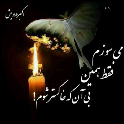 فقط همین