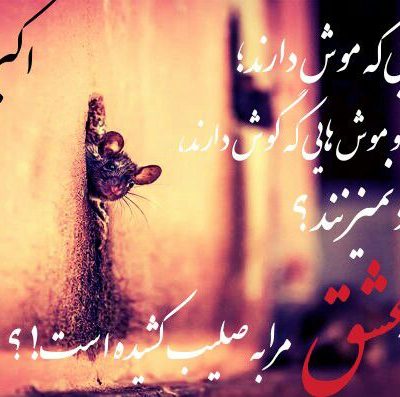 عشق مرا به صلیب کشیده است