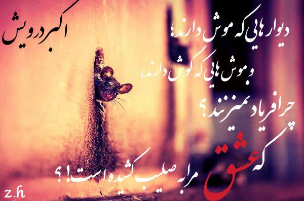 عشق مرا به صلیب کشیده است