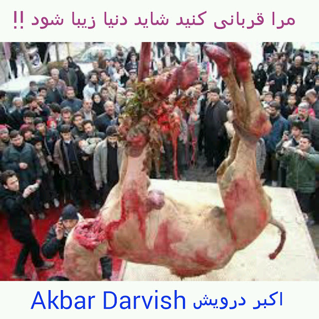 مرا قربانی کنید