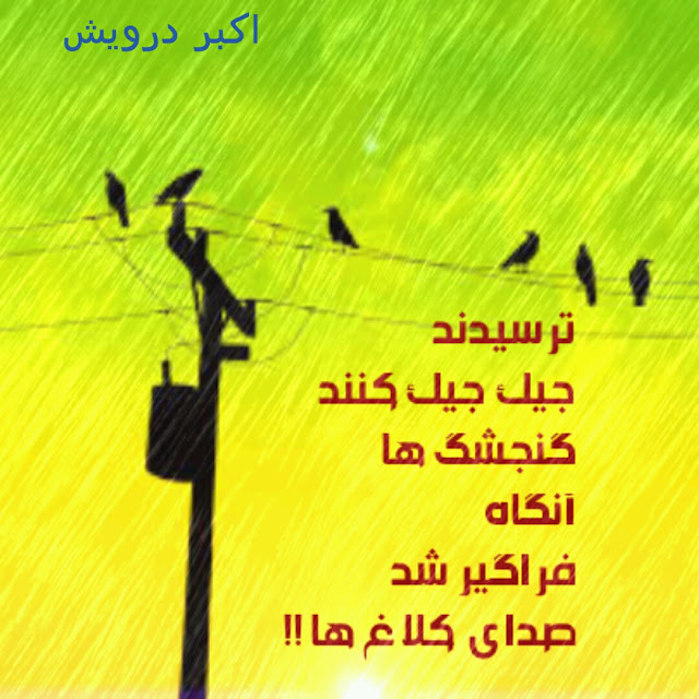 گنجشگ ها و کلاغ ها